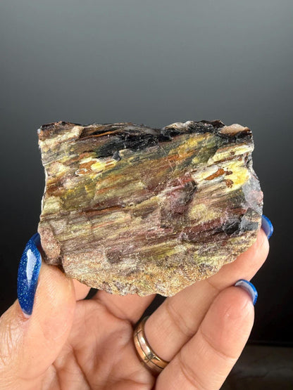 Natural Collawood (Colla Petrified Wood) with Chrysocolla and Malachite