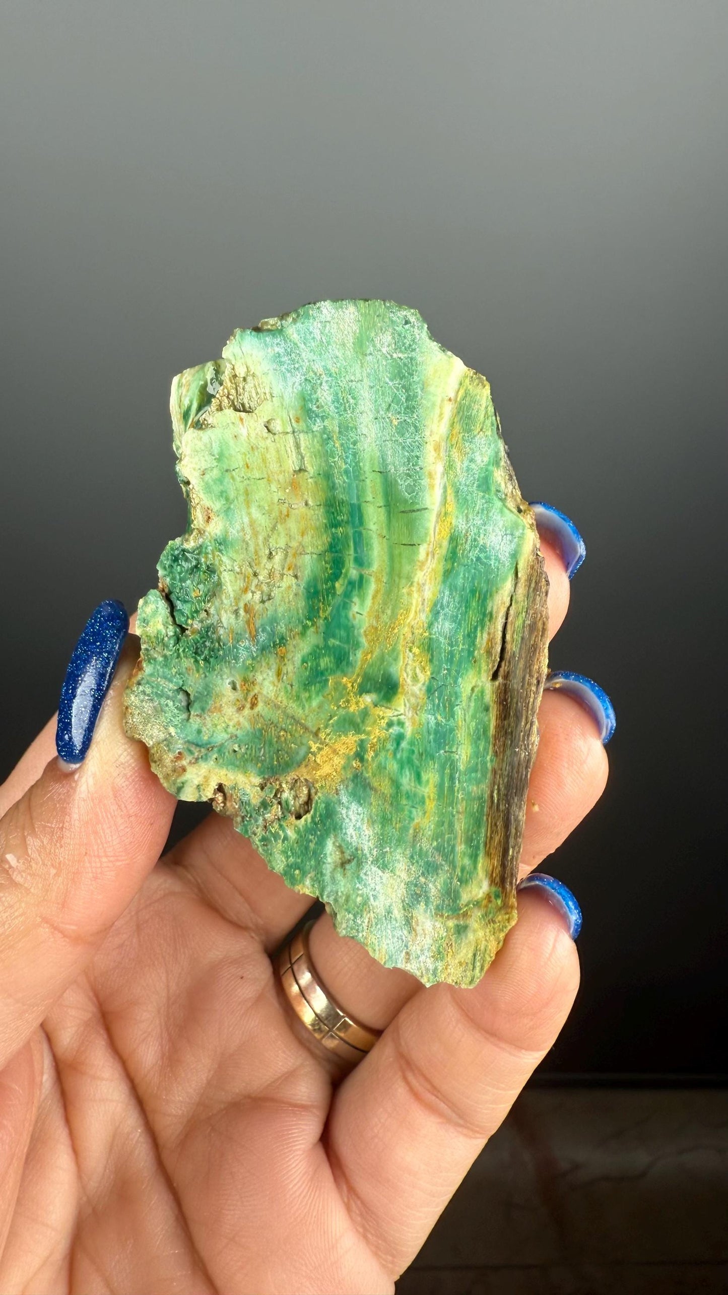 Natural Collawood (Colla Petrified Wood) with Chrysocolla and Malachite