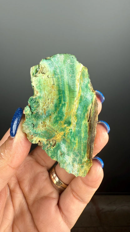 Natural Collawood (Colla Petrified Wood) with Chrysocolla and Malachite