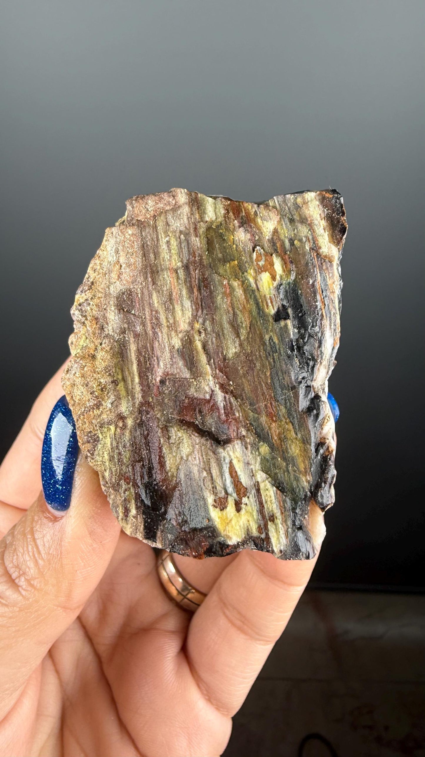 Natural Collawood (Colla Petrified Wood) with Chrysocolla and Malachite