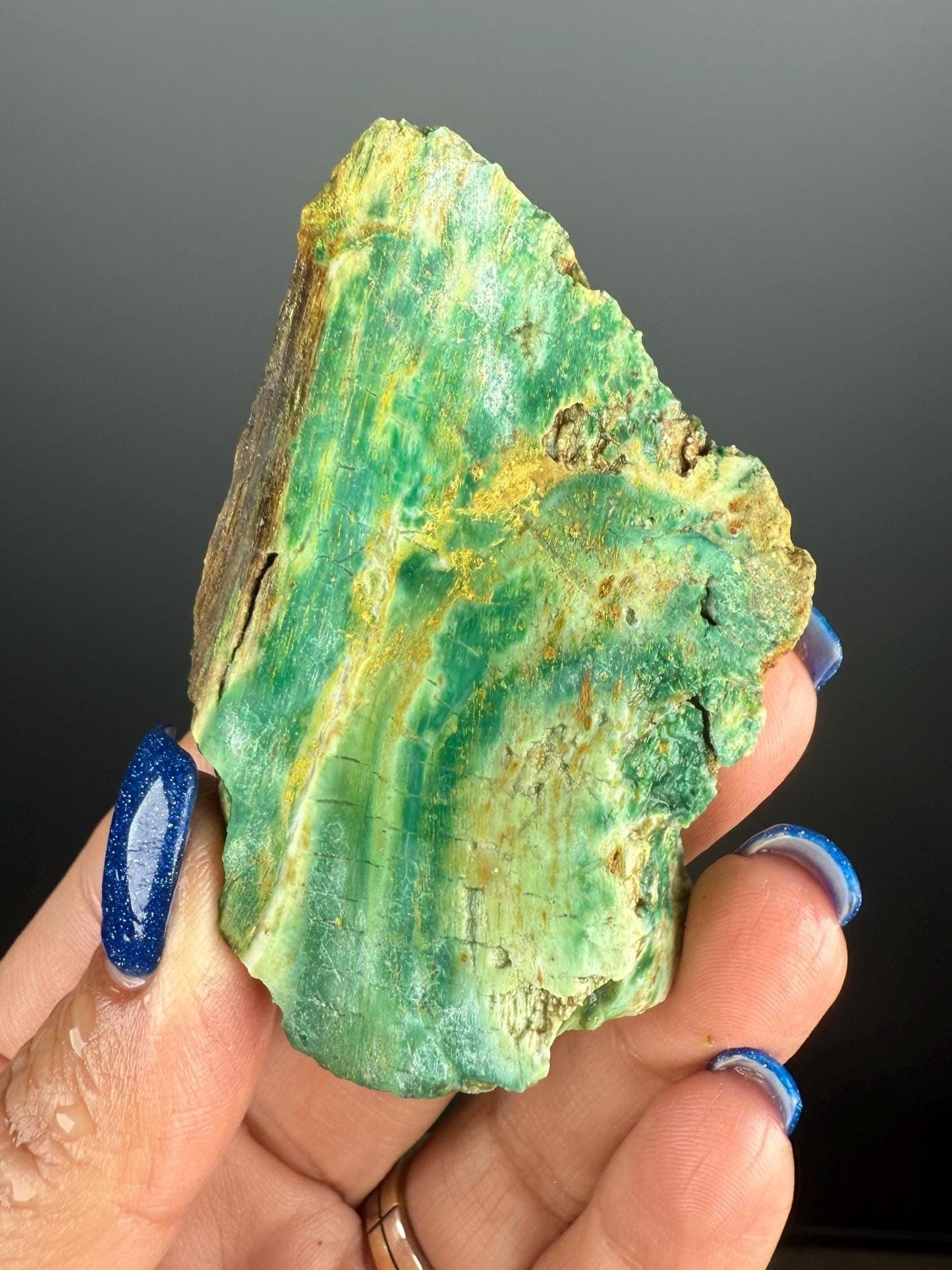 Natural Collawood (Colla Petrified Wood) with Chrysocolla and Malachite