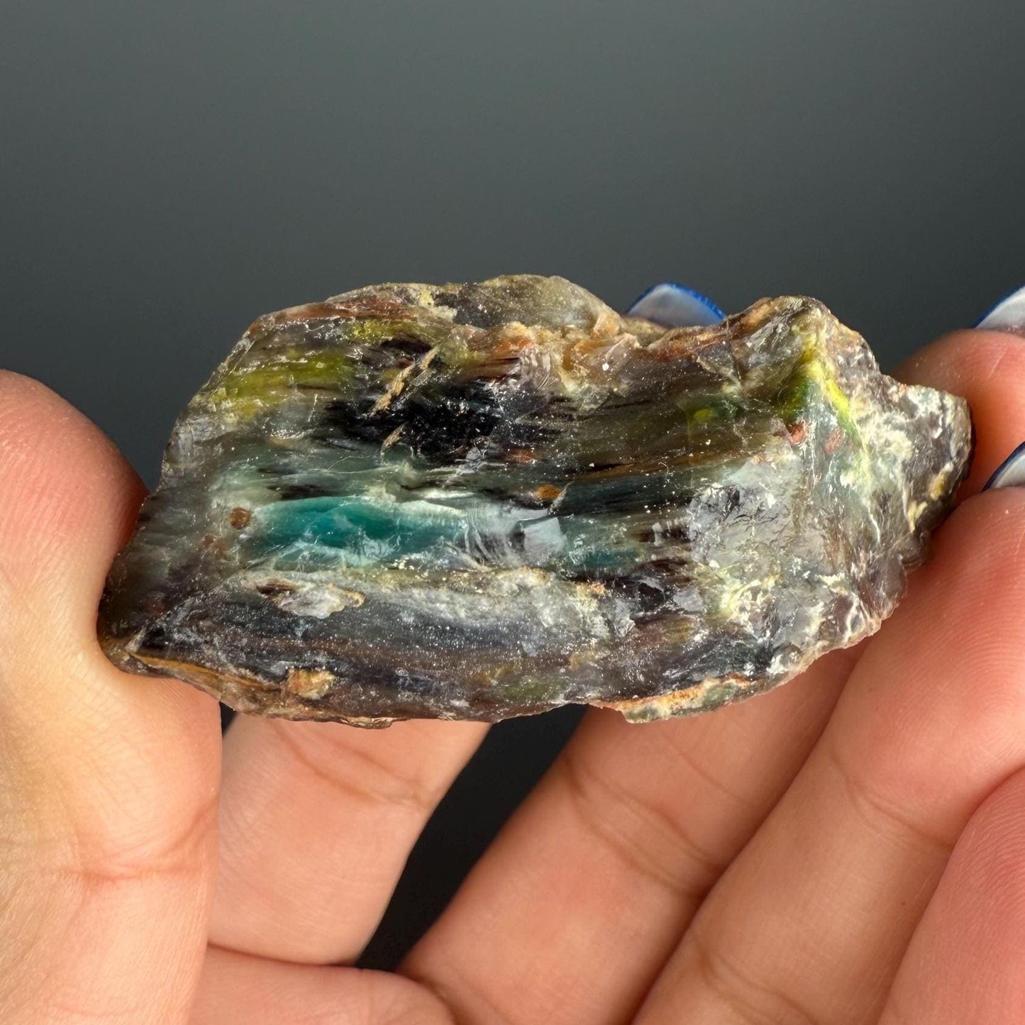 Natural Collawood (Colla Petrified Wood) with Chrysocolla and Malachite