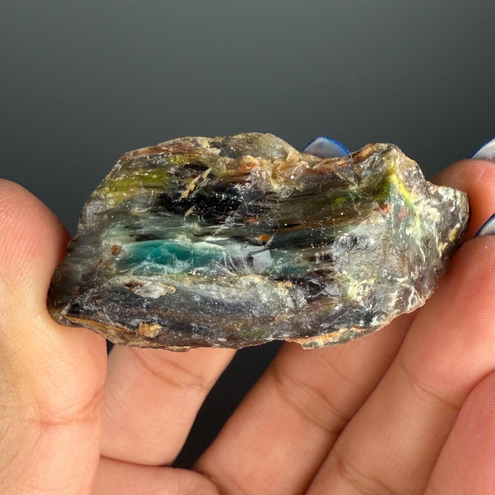 Natural Collawood (Colla Petrified Wood) with Chrysocolla and Malachite