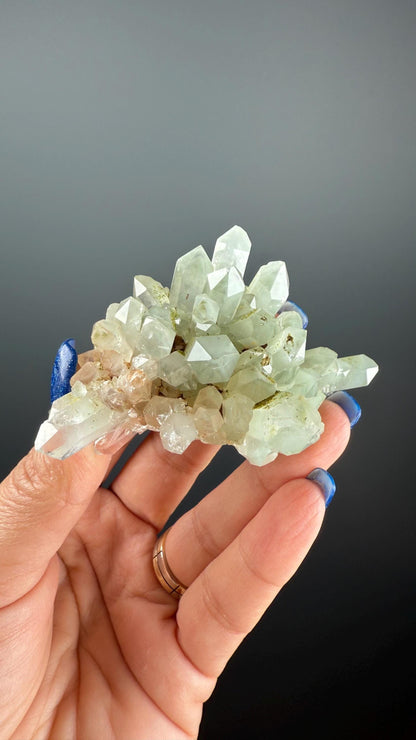 Epic! Crystal Quartz Flowers with Glittery Chlorite Crystals Specimen From Turkey