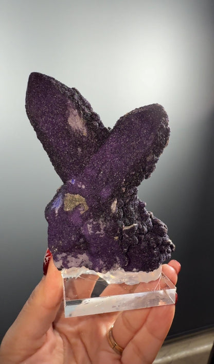 New Find Fluorite on Quartz from Inner Mongolia