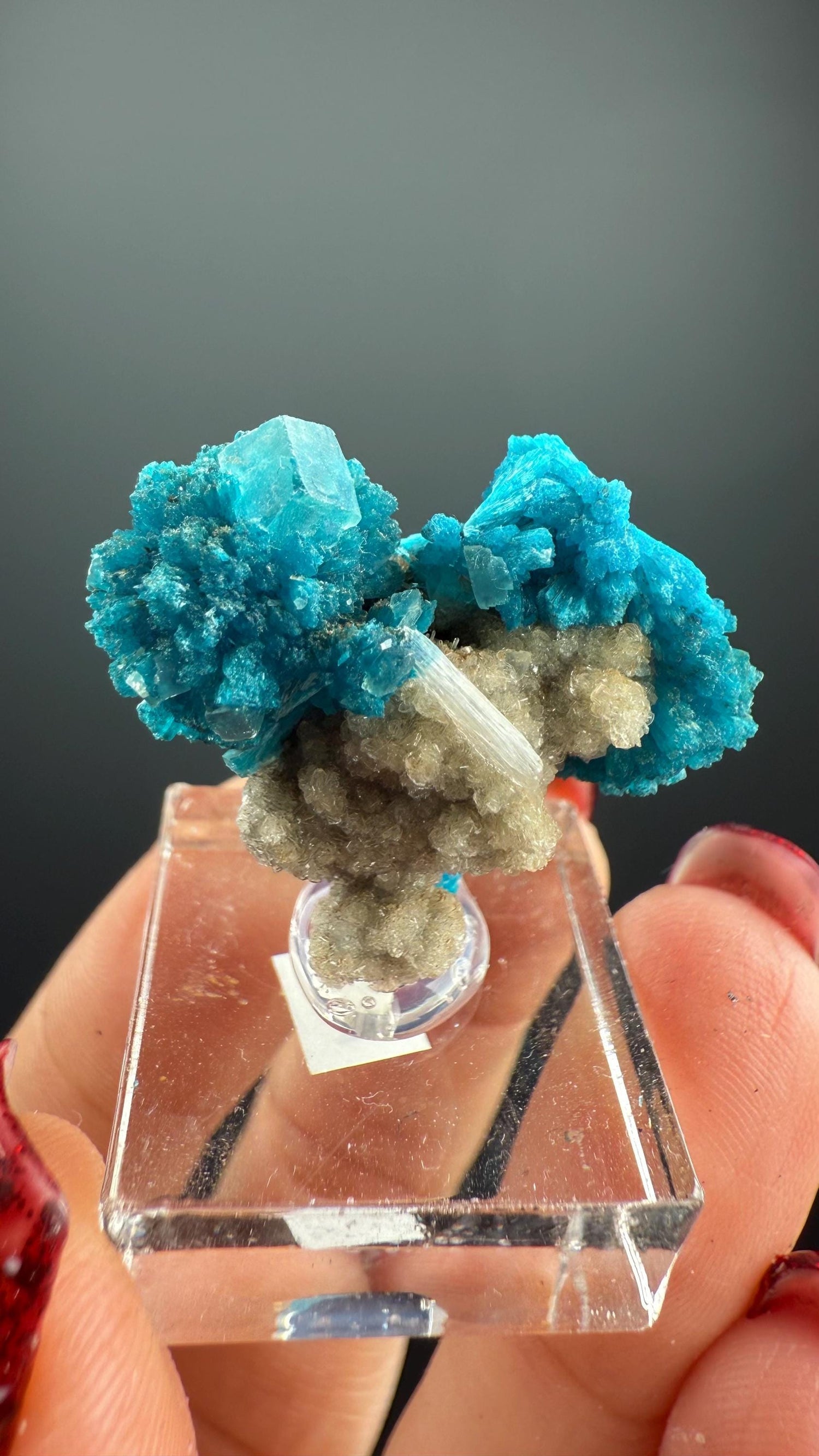 Natural Cavansite Crystal Cluster on Stand (with Cute Cubic Fluorite)