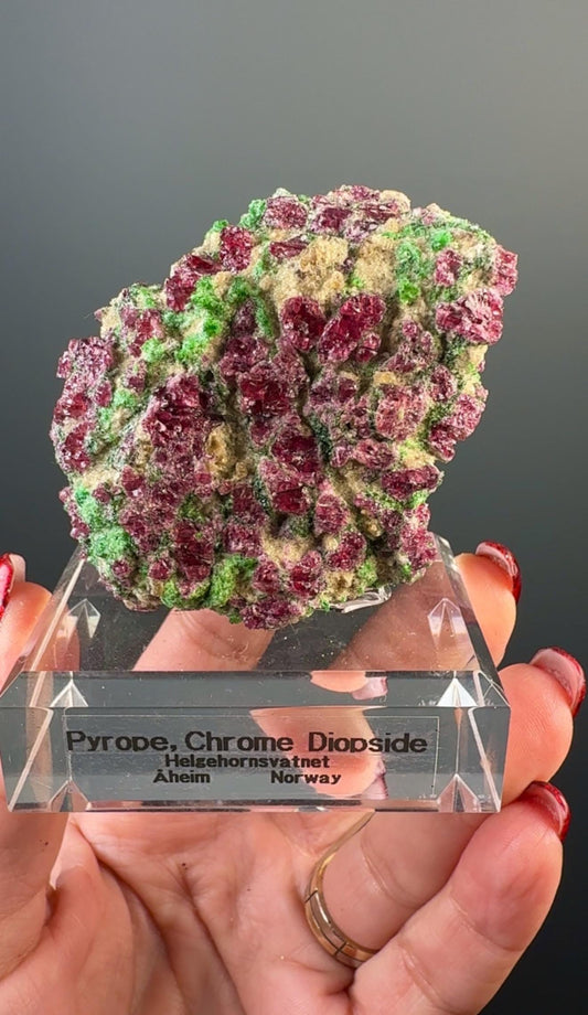 Rare! Pyrope Garnet with Chrom Diopsite Specimen