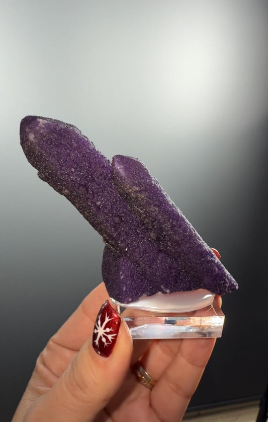 New Find Fluorite on Quartz from Inner Mongolia