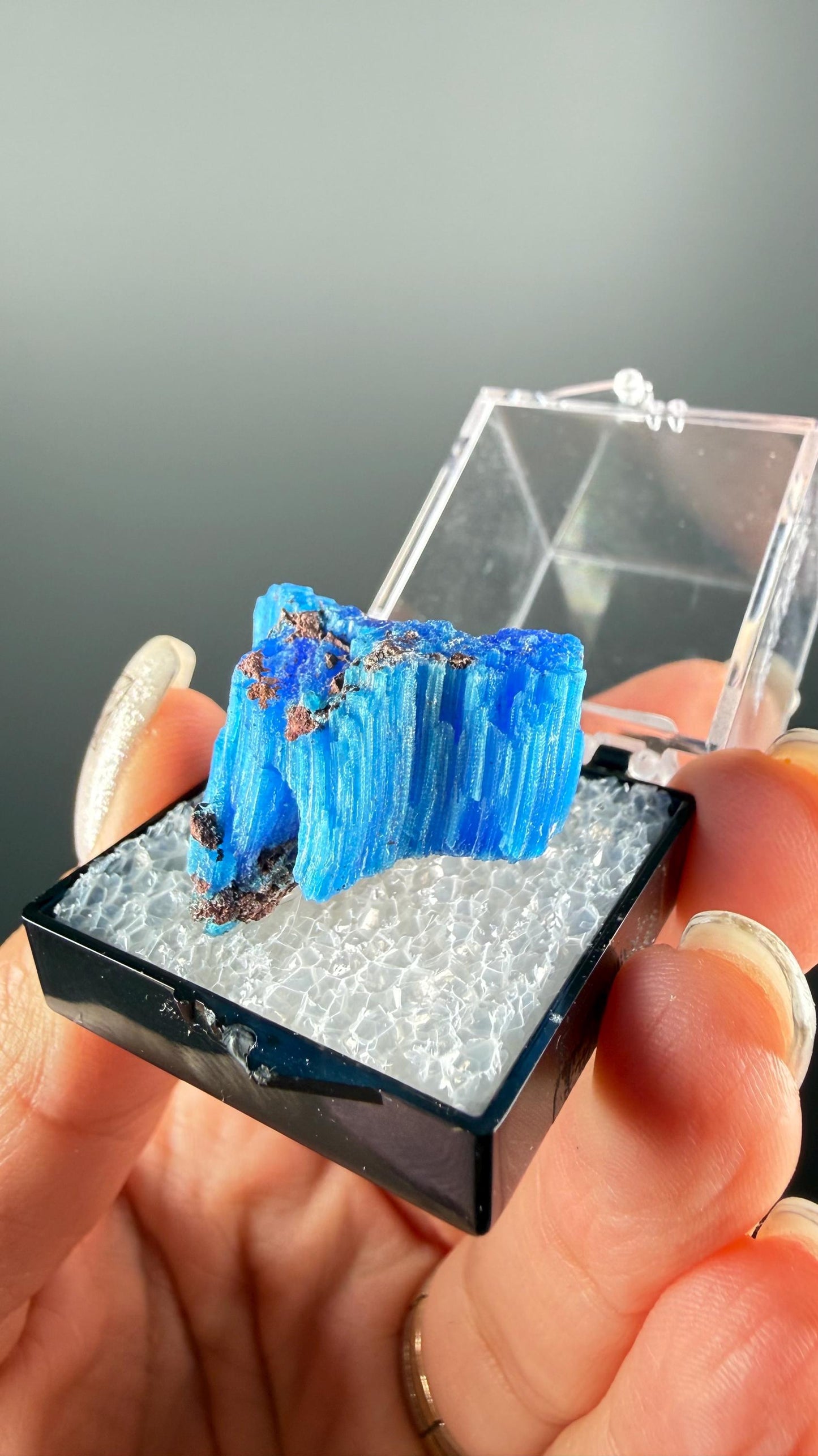 Chalcanthite Specimen, Planet Mine Arizona (with display box)