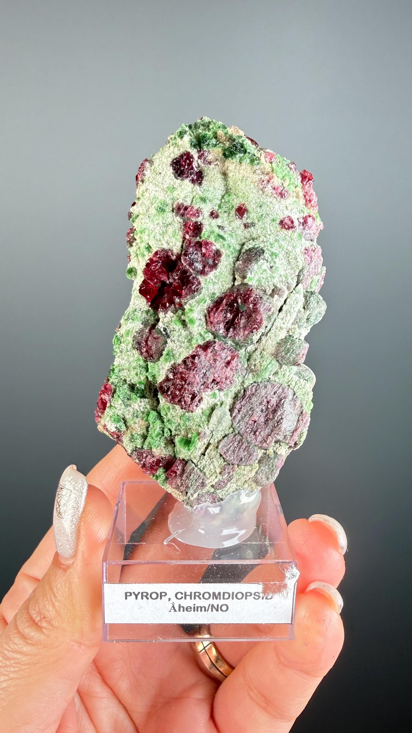 Rare! Pyrope Garnet with Chrom Diopsite Specimen