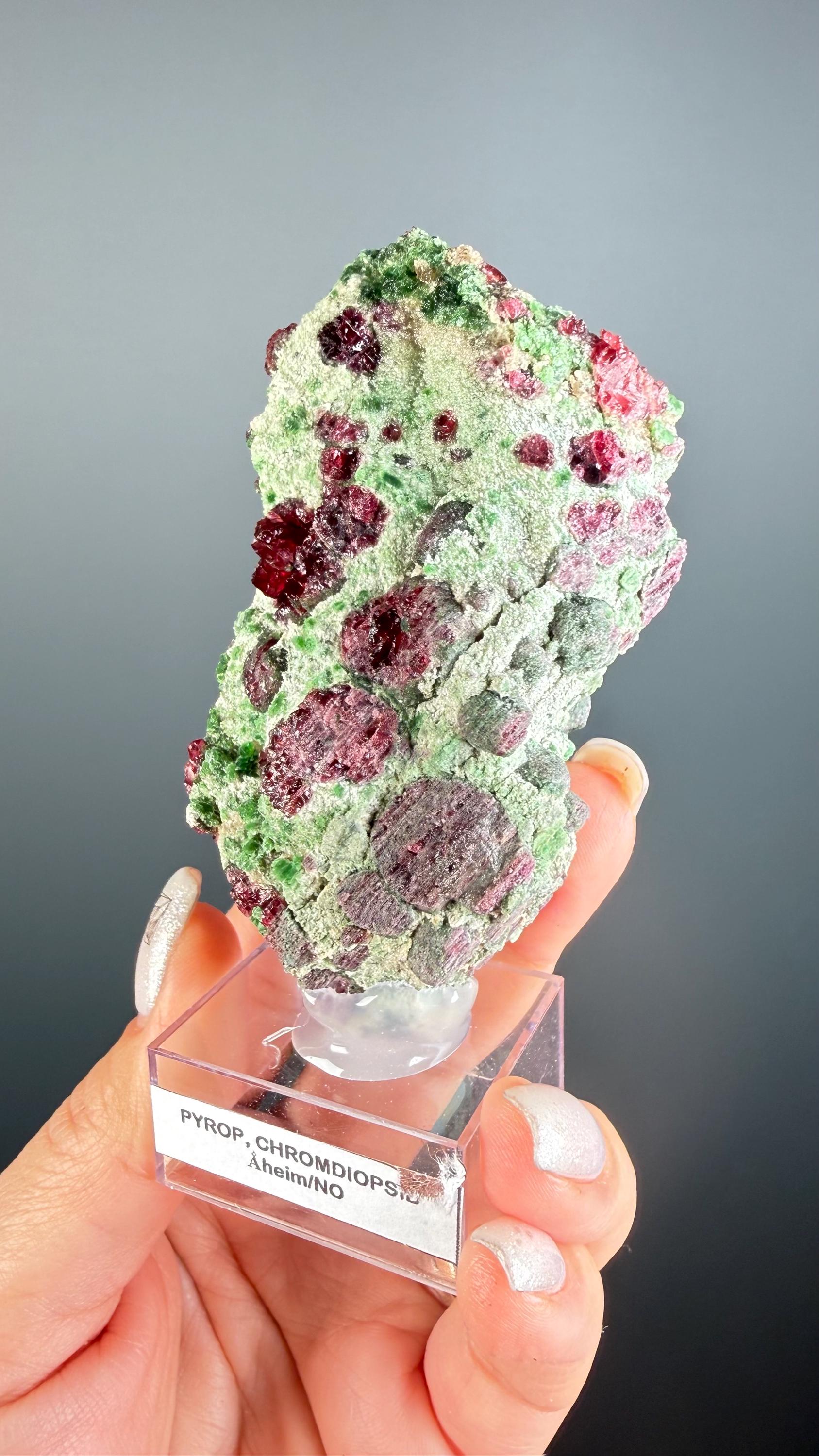 Rare! Pyrope Garnet with Chrom Diopsite Specimen