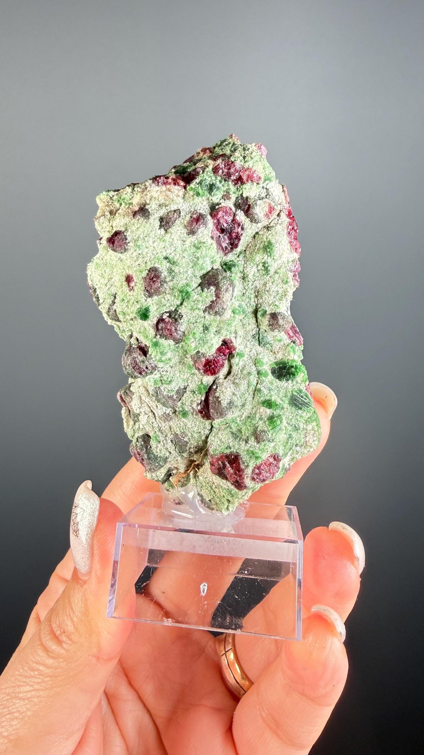 Rare! Pyrope Garnet with Chrom Diopsite Specimen