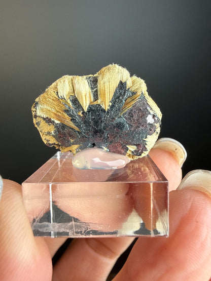 Golden Rutile Crystal with Red Hematite Crystal
