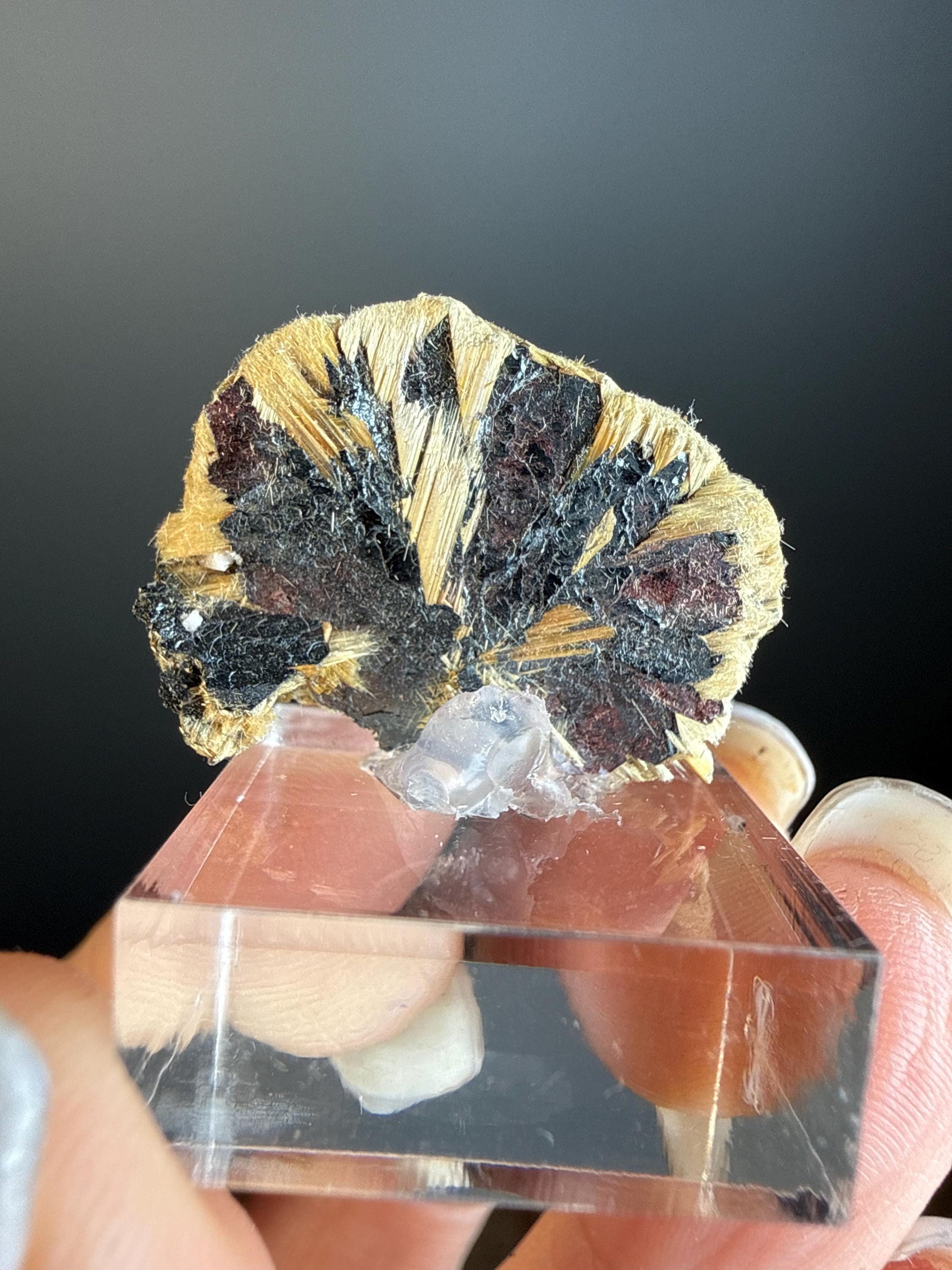 Golden Rutile Crystal with Red Hematite Crystal