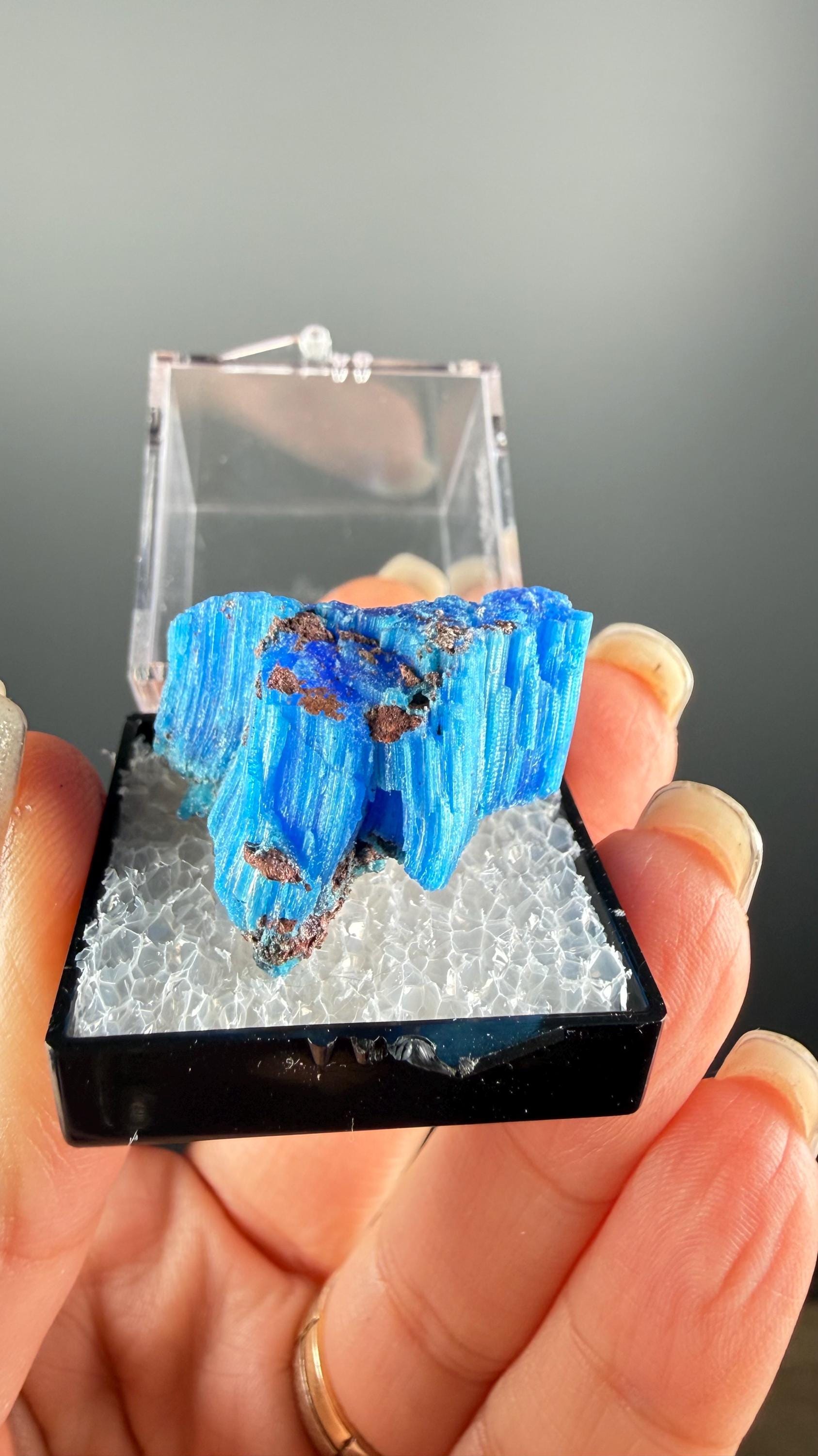Chalcanthite Specimen, Planet Mine Arizona (with display box)