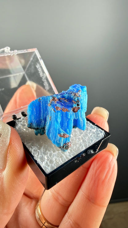 Chalcanthite Specimen, Planet Mine Arizona (with display box)