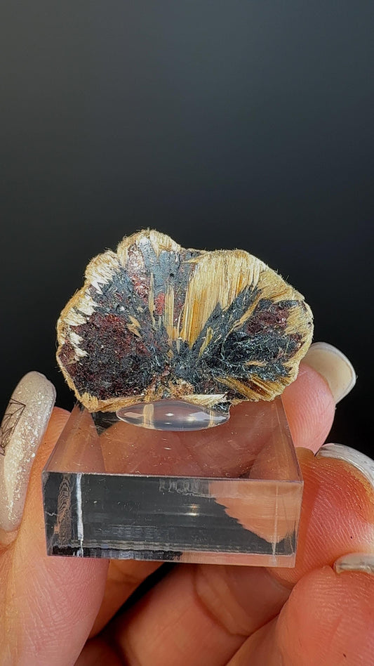 Golden Rutile Crystal with Red Hematite Crystal