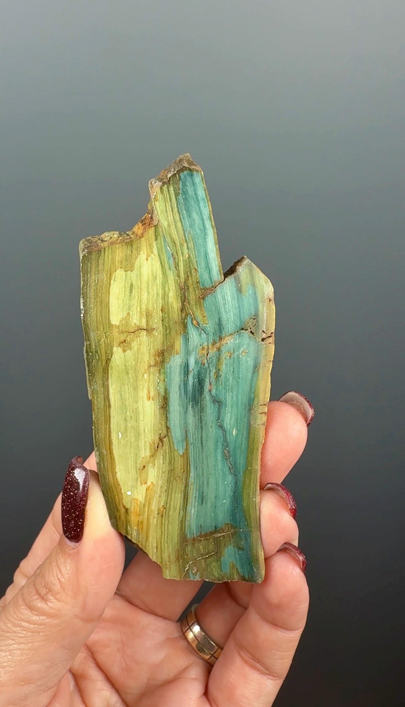 Rare, Bog Wood (Larsonite) from Nevada, Oregon USA