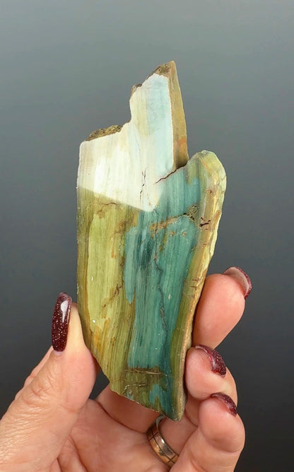 Rare, Bog Wood (Larsonite) from Nevada, Oregon USA