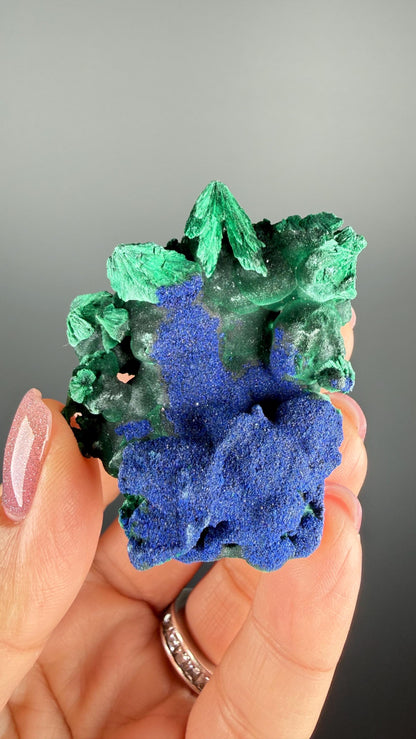 Azurite-Malachite Crystal Specimen