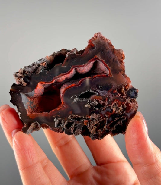 Rare Red Fox Agate Specimen: UV Reactive, Patagonia Origin