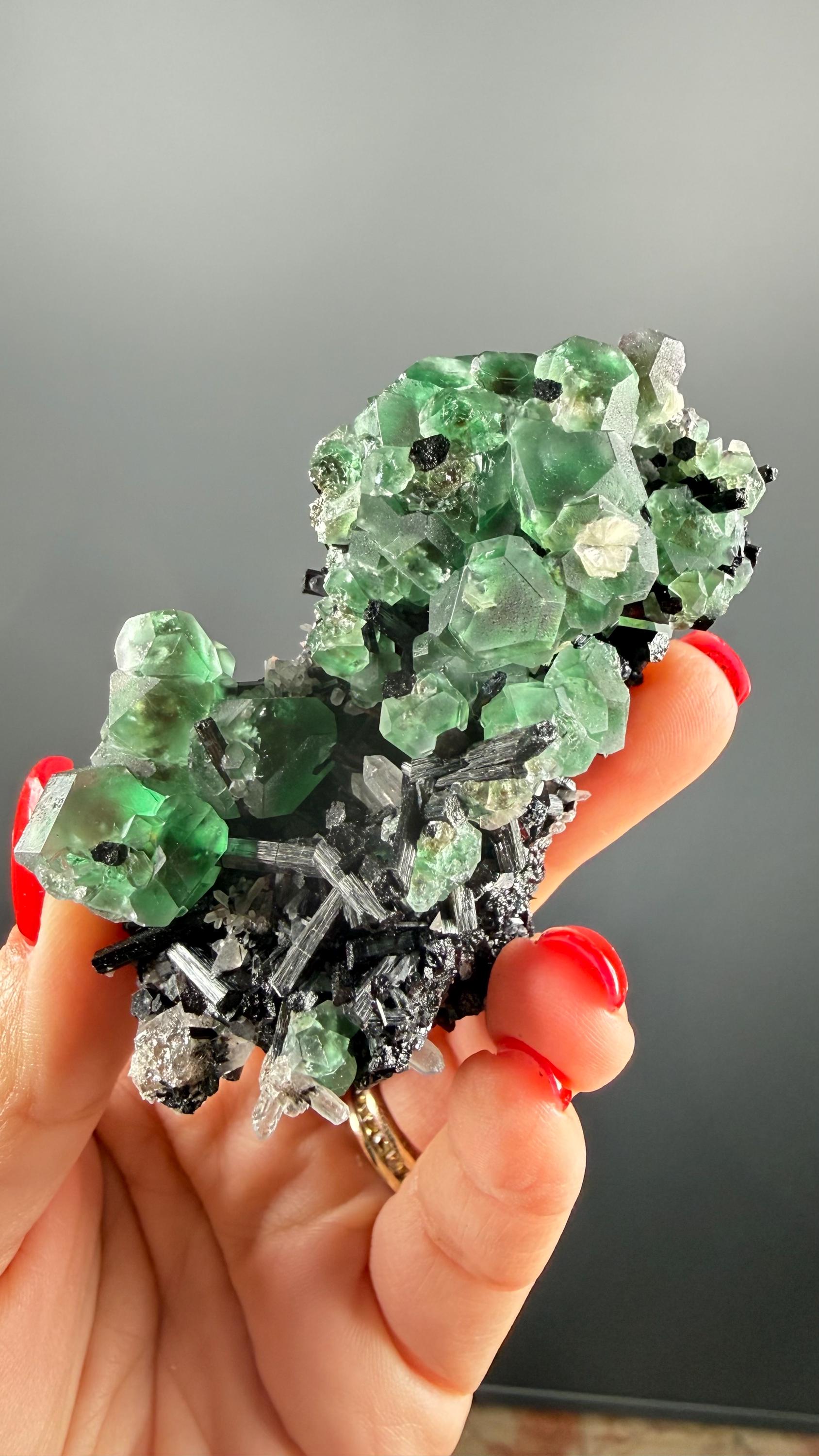 Fluorite on black Tourmaline Crystal (Lollipop Pocket), Erongo, Namibia
