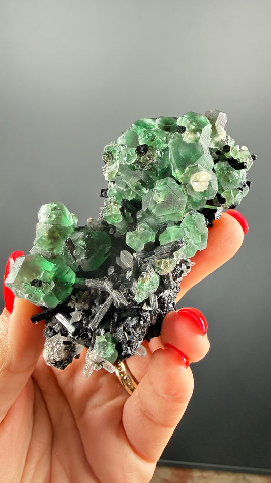 Fluorite on black Tourmaline Crystal (Lollipop Pocket), Erongo, Namibia