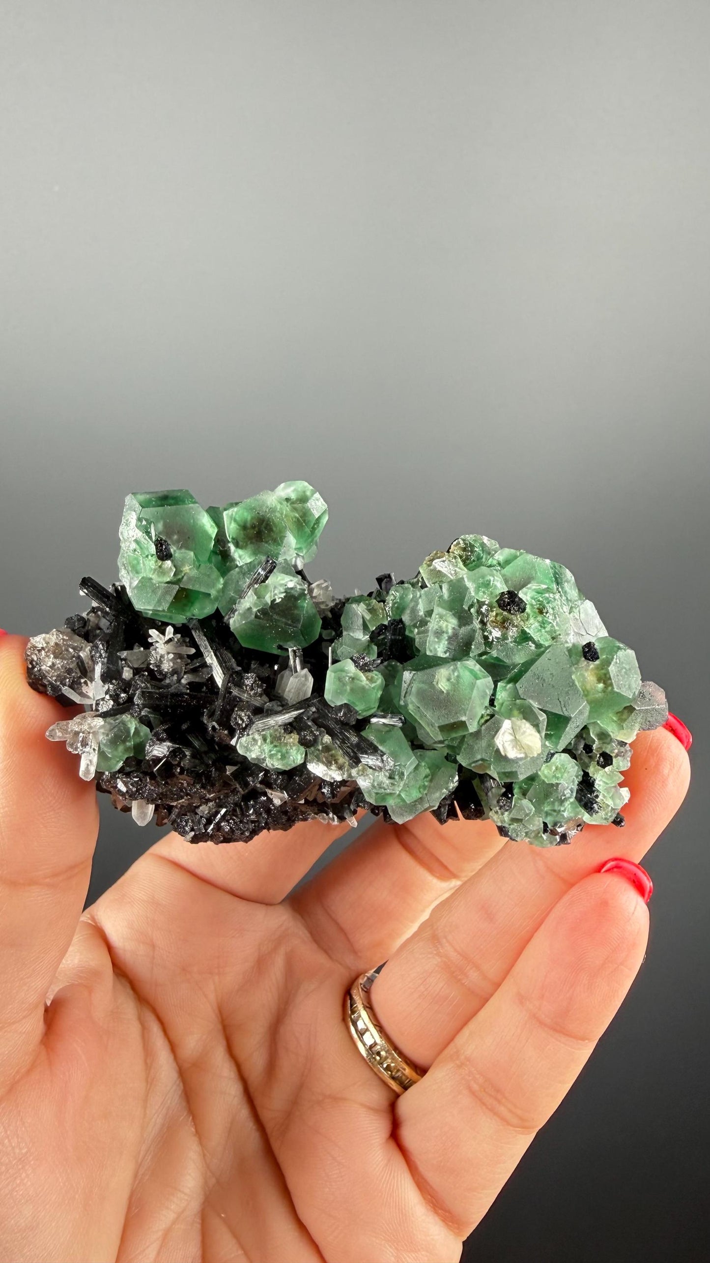 Fluorite on black Tourmaline Crystal (Lollipop Pocket), Erongo, Namibia