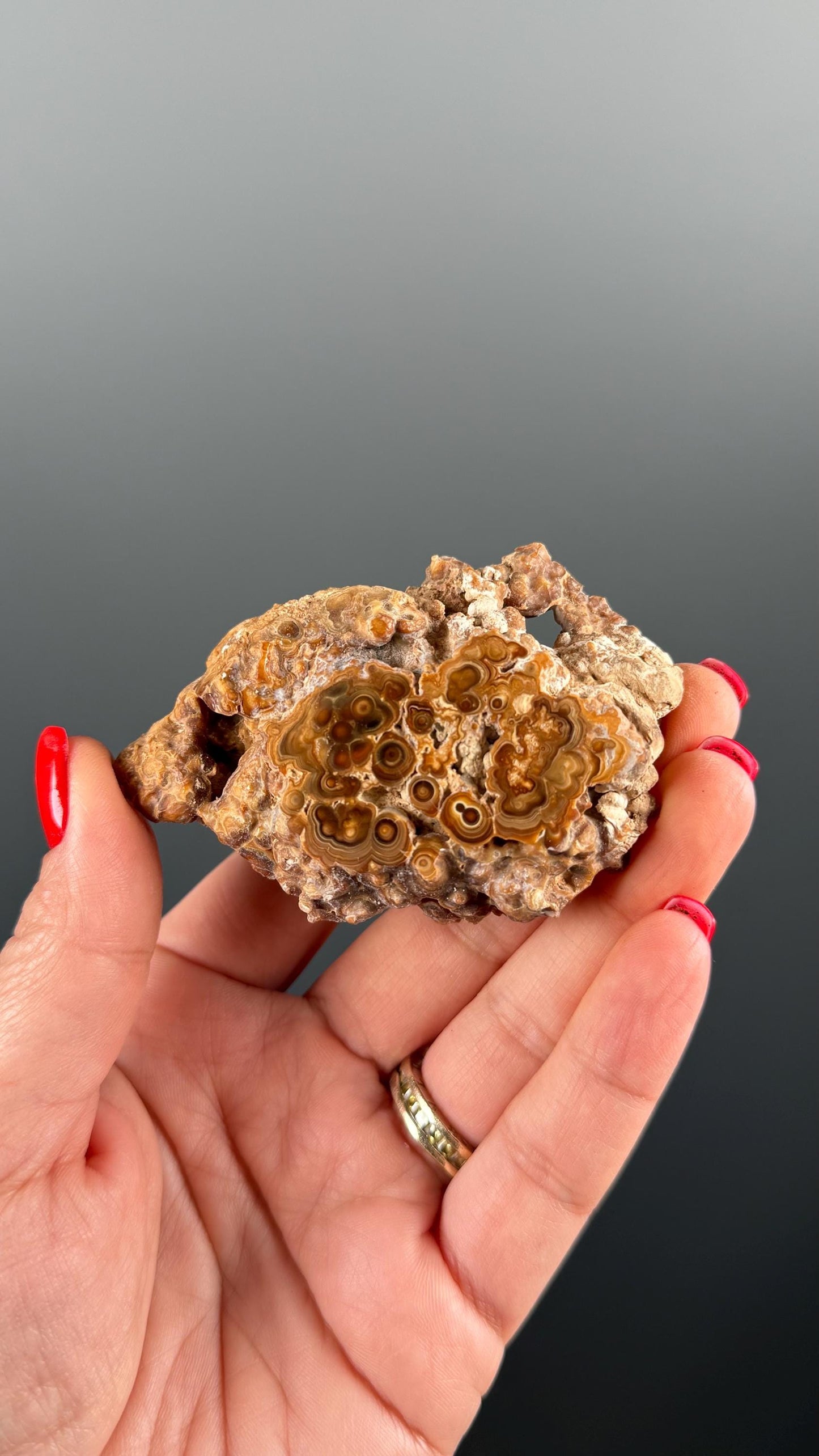 Brown Aragonite Stalactite Slab, Popcorn Aragonite