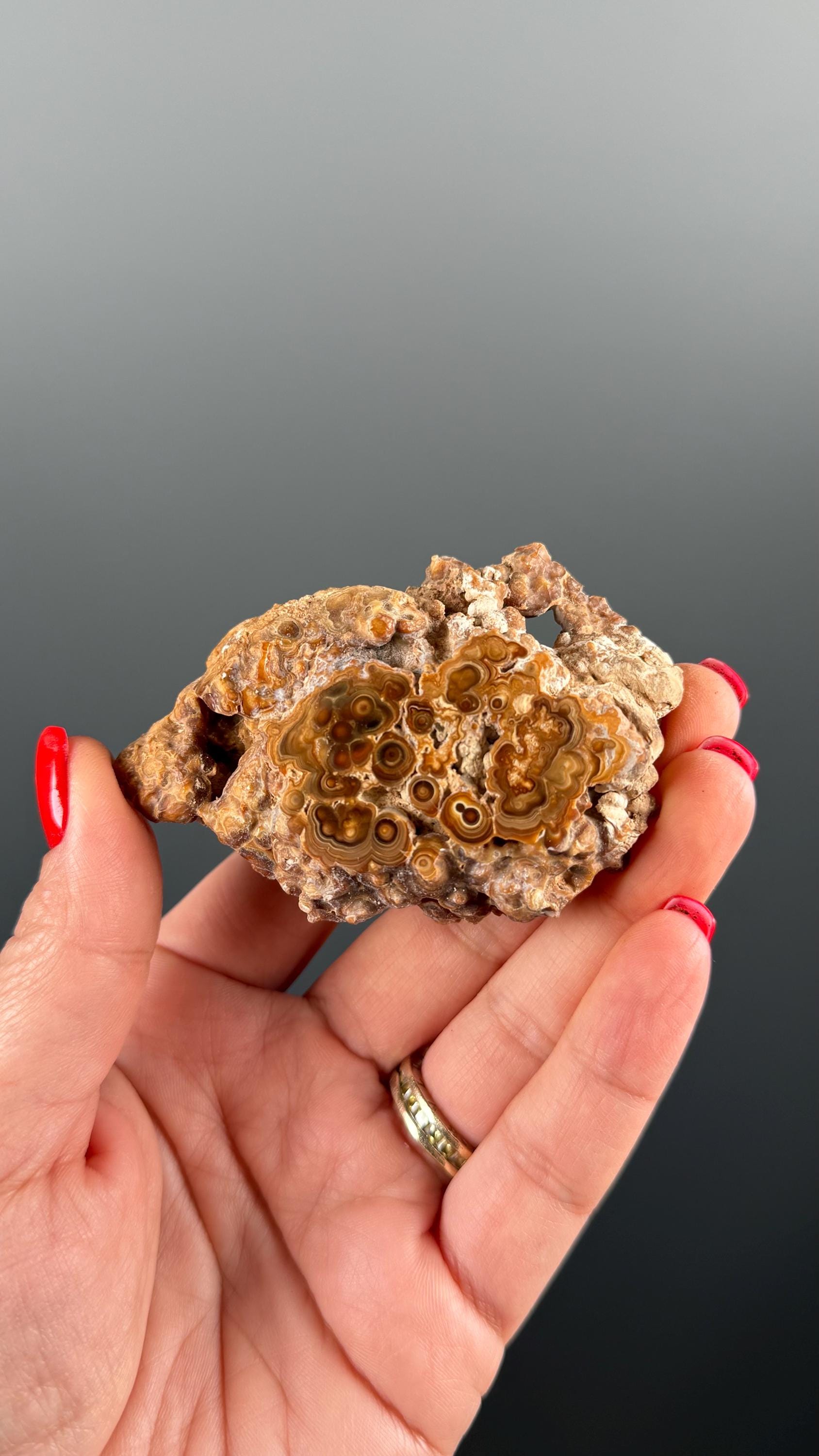 Brown Aragonite Stalactite Slab, Popcorn Aragonite