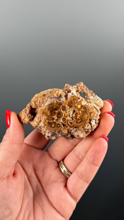 Brown Aragonite Stalactite Slab, Popcorn Aragonite