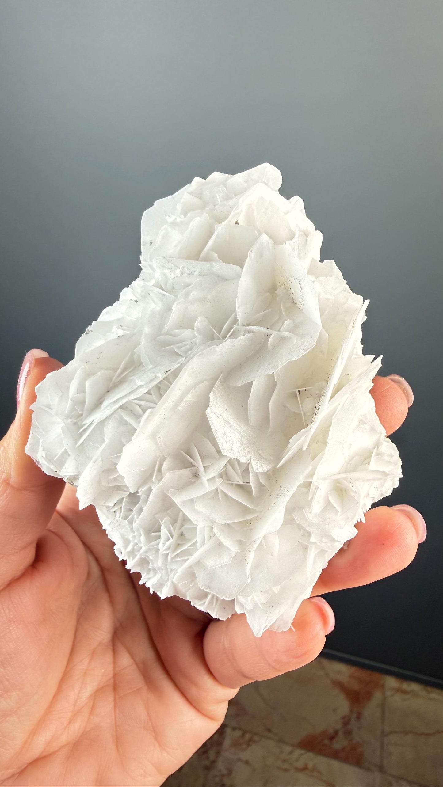 Angel Wings Calcite Specimen