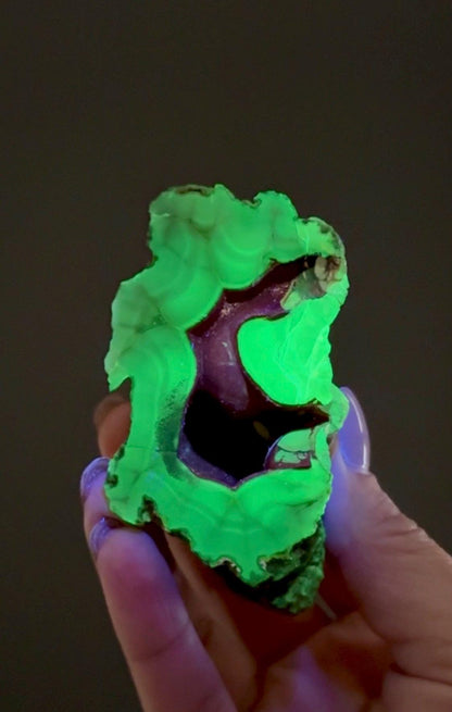 UV Reactive Red Fox Agate Specimen, Patagonia Origin