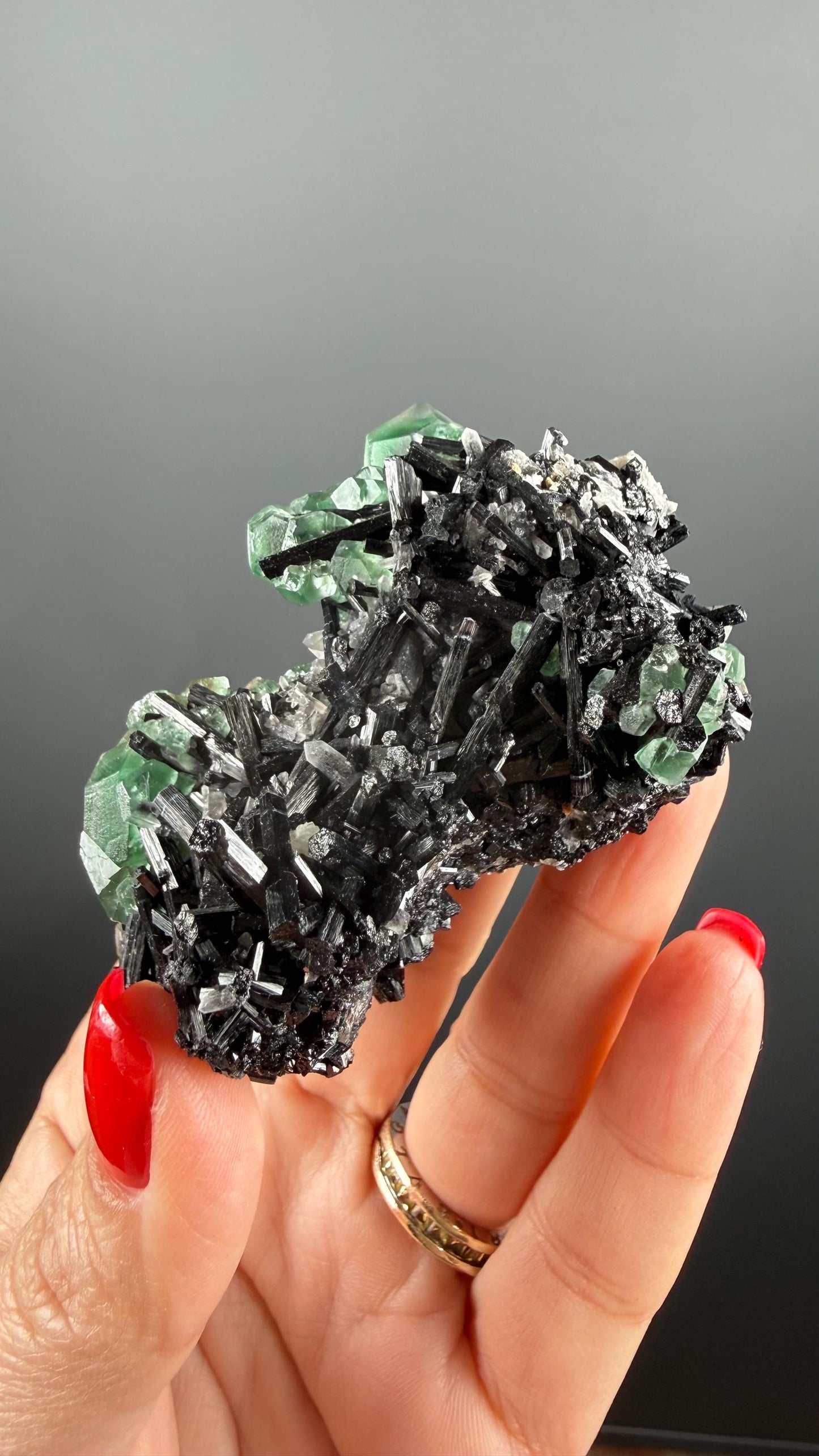 Fluorite on black Tourmaline Crystal (Lollipop Pocket), Erongo, Namibia