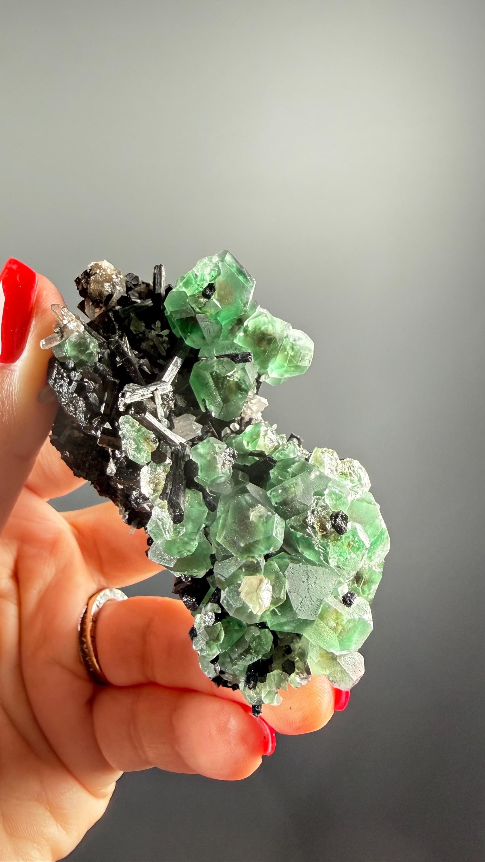 Fluorite on black Tourmaline Crystal (Lollipop Pocket), Erongo, Namibia