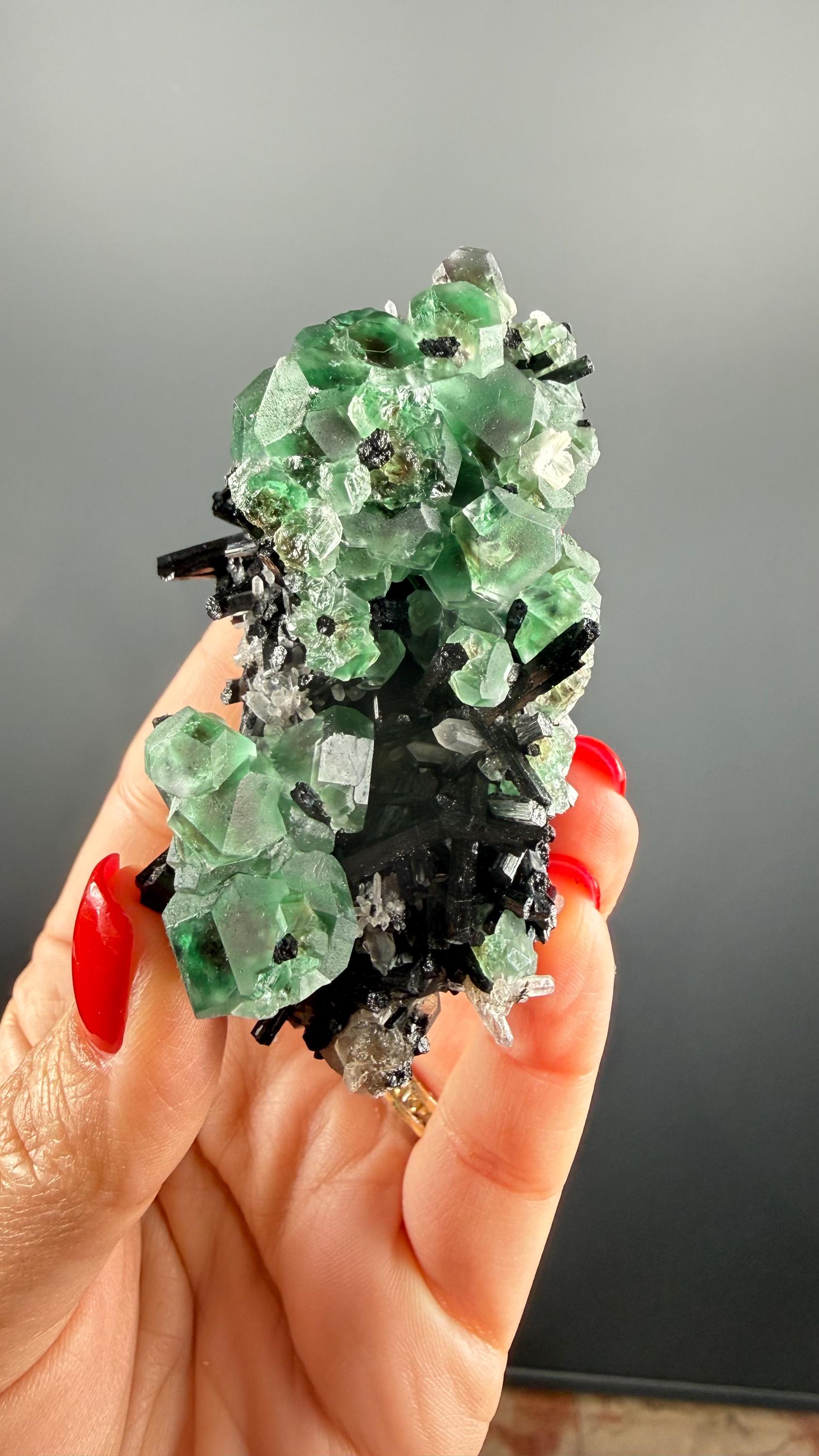 Fluorite on black Tourmaline Crystal (Lollipop Pocket), Erongo, Namibia