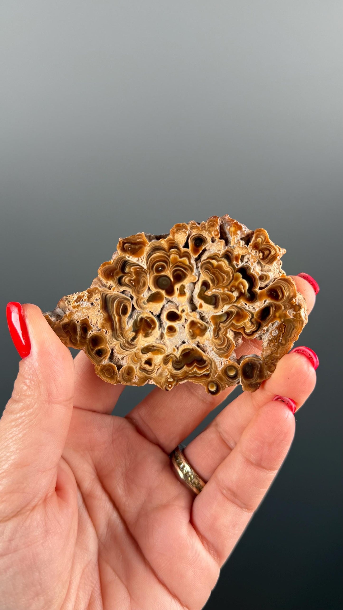 Brown Aragonite Stalactite Slab, Popcorn Aragonite