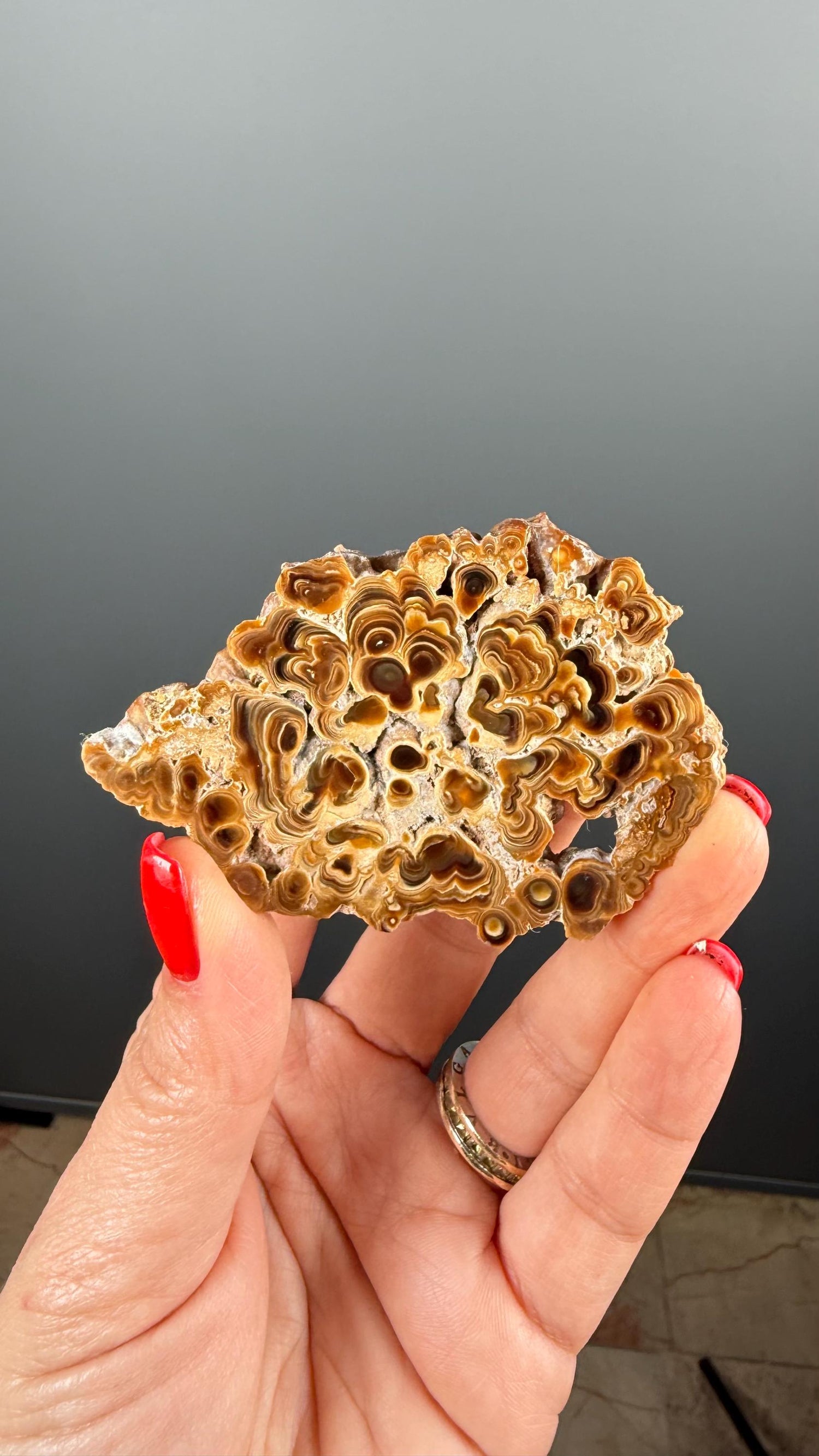 Brown Aragonite Stalactite Slab, Popcorn Aragonite