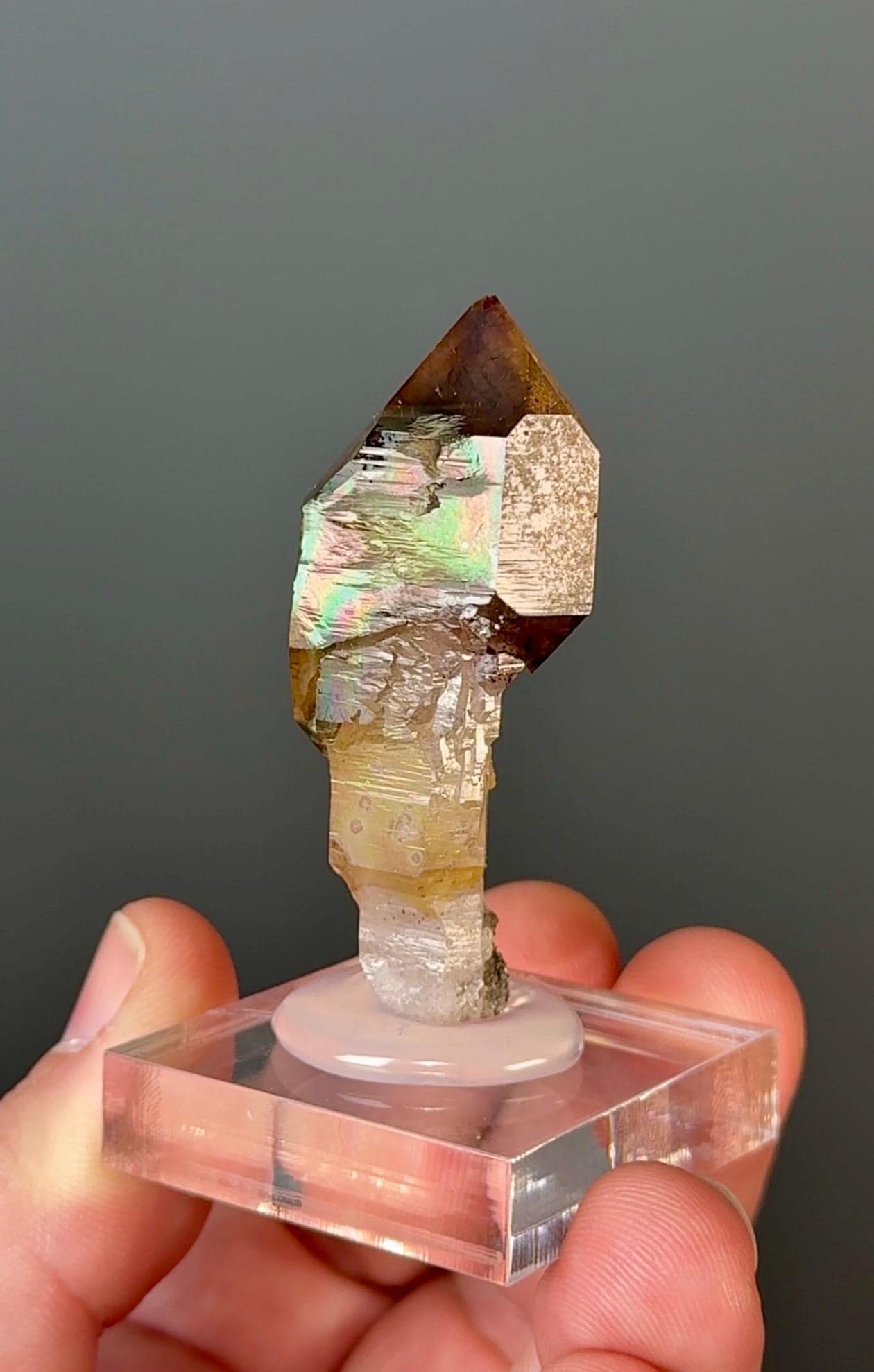 Chibuku Amethyst Scepter (Shangaan Amethyst with Sceptered Growth Formation) from Zimbabwe