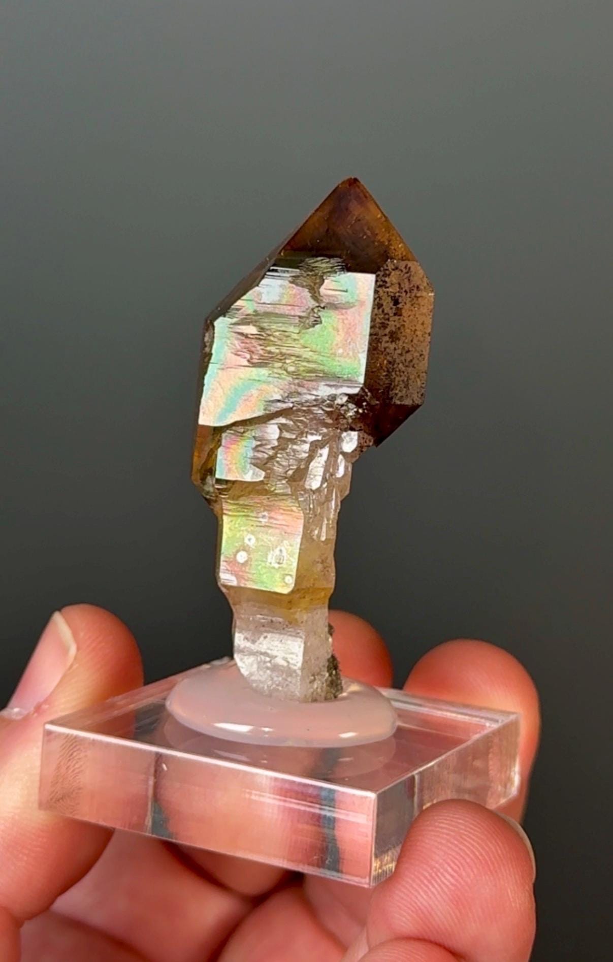Chibuku Amethyst Scepter (Shangaan Amethyst with Sceptered Growth Formation) from Zimbabwe