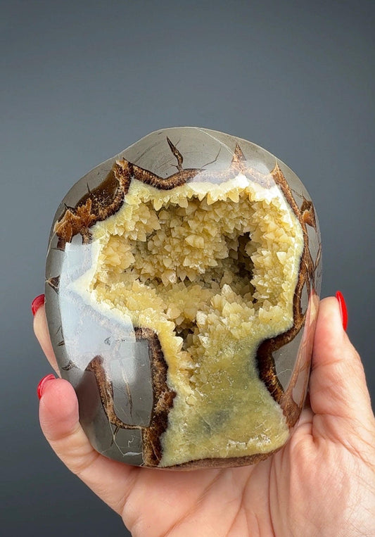 UV Reactive! Utah Septarian Geodes