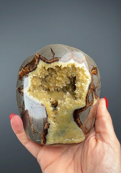 UV Reactive! Utah Septarian Geodes