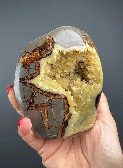 UV Reactive! Utah Septarian Geodes