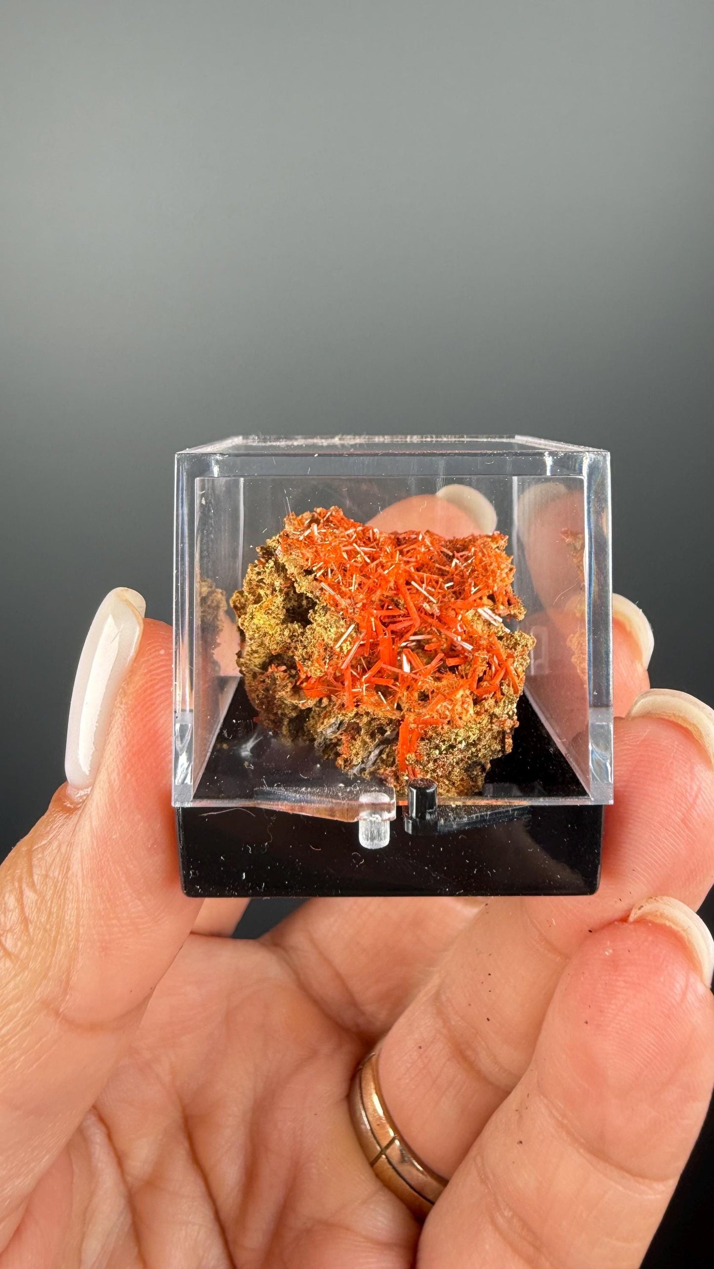 Orange Crocoite Crystal Specimen from Tasmania