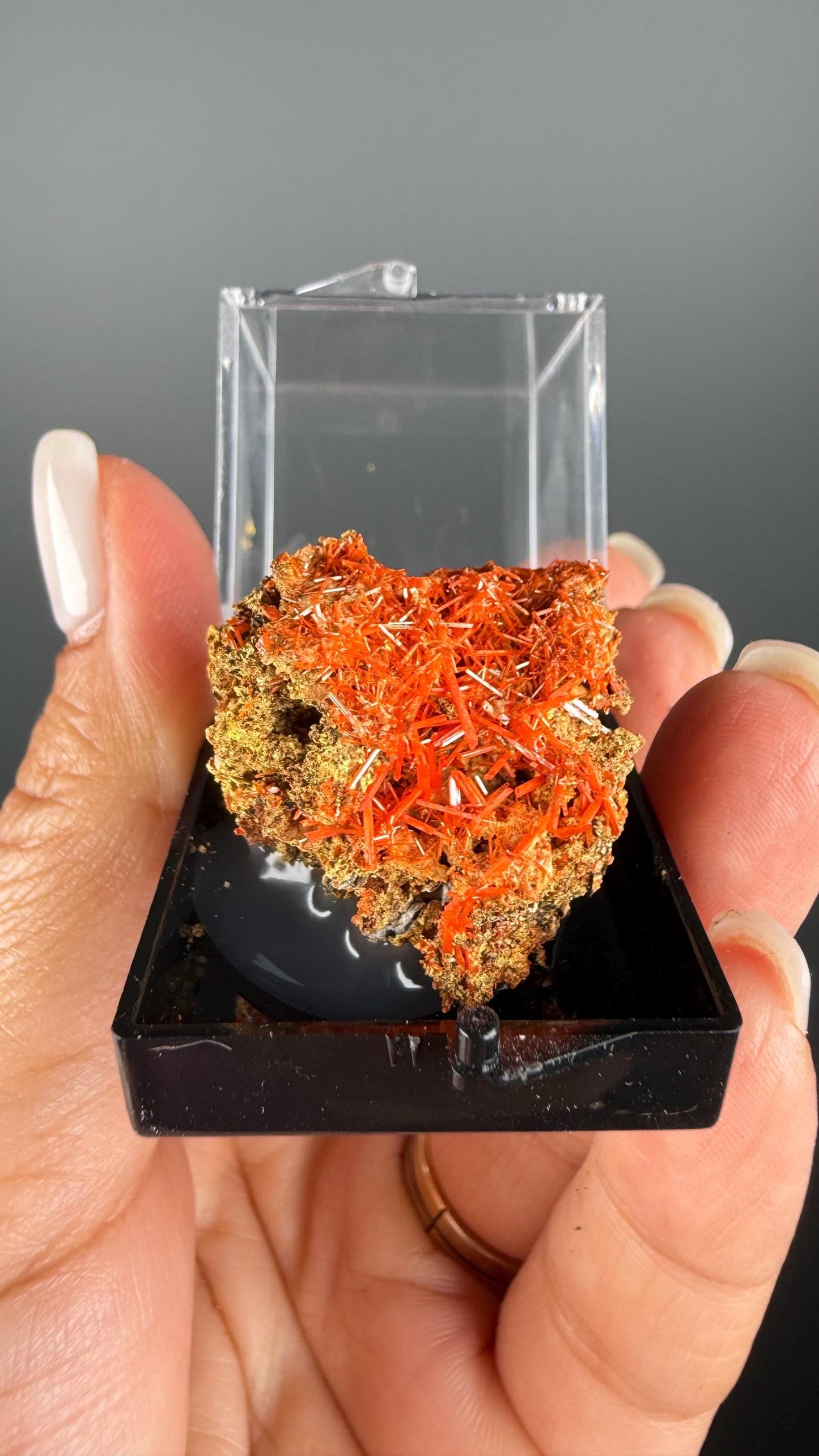 Orange Crocoite Crystal Specimen from Tasmania