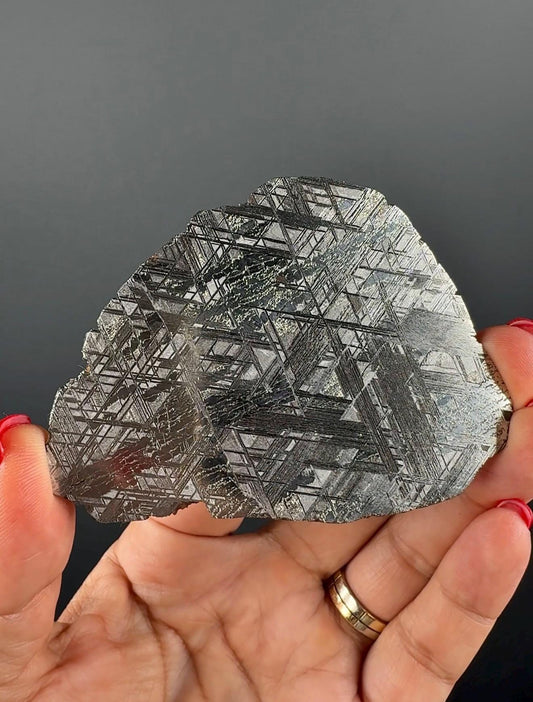 RARE !Muonionalusta Meteorite Slab