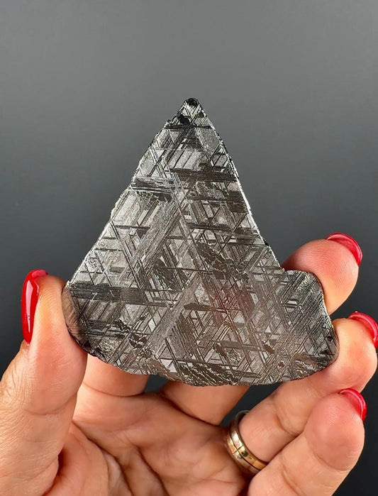 RARE !Muonionalusta Meteorite Slab