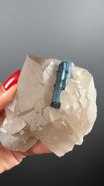 Blue Turmaline on Quartz Crystal Specimen (Indicolite)