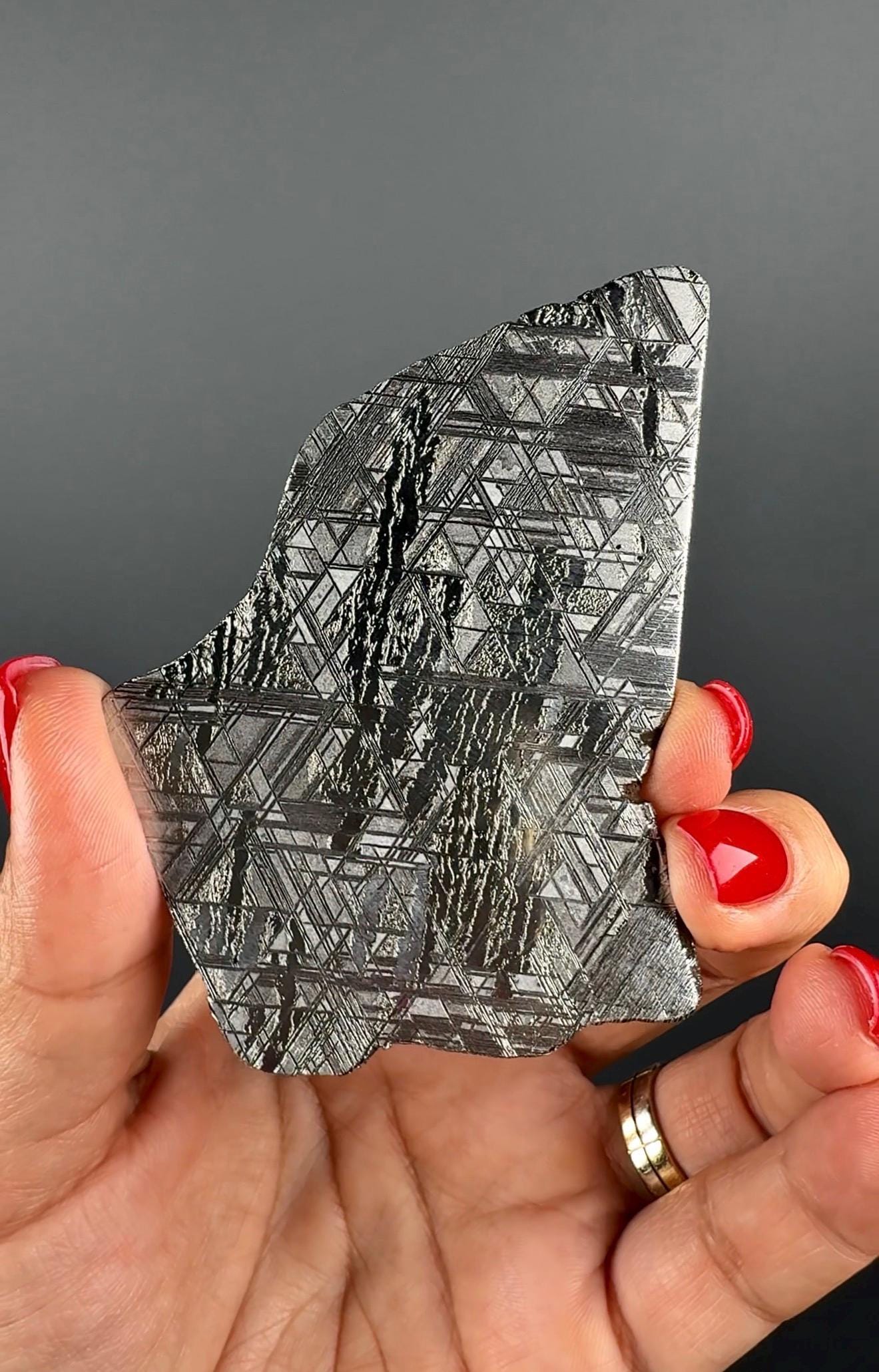 RARE !Muonionalusta Meteorite Slab