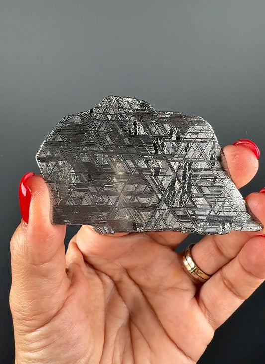 RARE !Muonionalusta Meteorite Slab